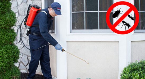 Altıeylül Böcek İlaçlama böcek ilaçlama ve haşere kontrolü — ilaclama-tr.com